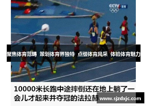 聚焦体育范畴  策划体育界独特  点缀体育风采  体验体育魅力