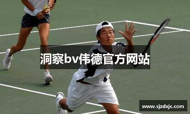 洞察bv伟德官方网站